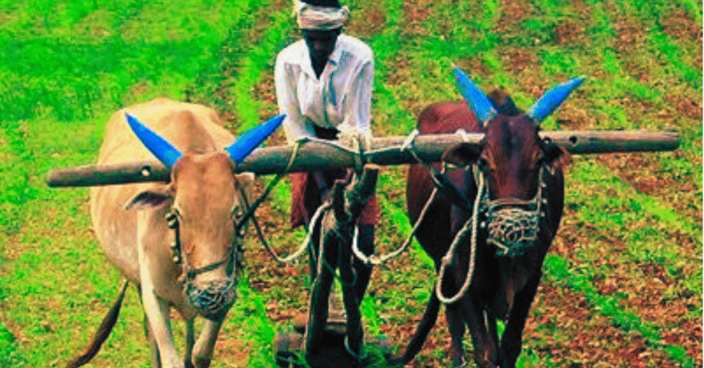 PM Kisan Yojana 22वीं किस्त 2025 फाइनल डेट और लेटेस्ट अपडेट